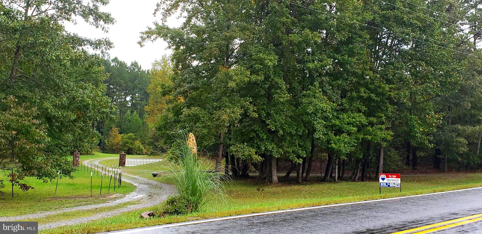 22147 Sparta Road Milford, VA 22514 - Photo 34 of 46