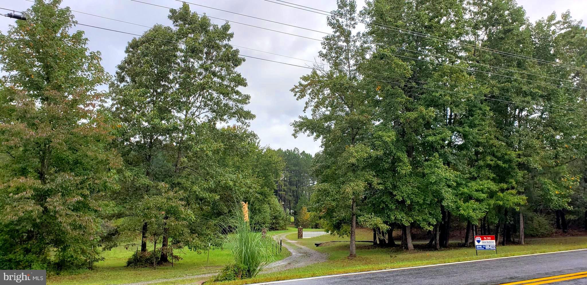 22147 Sparta Road Milford, VA 22514 - Photo 37 of 46 Driveway onto Lot