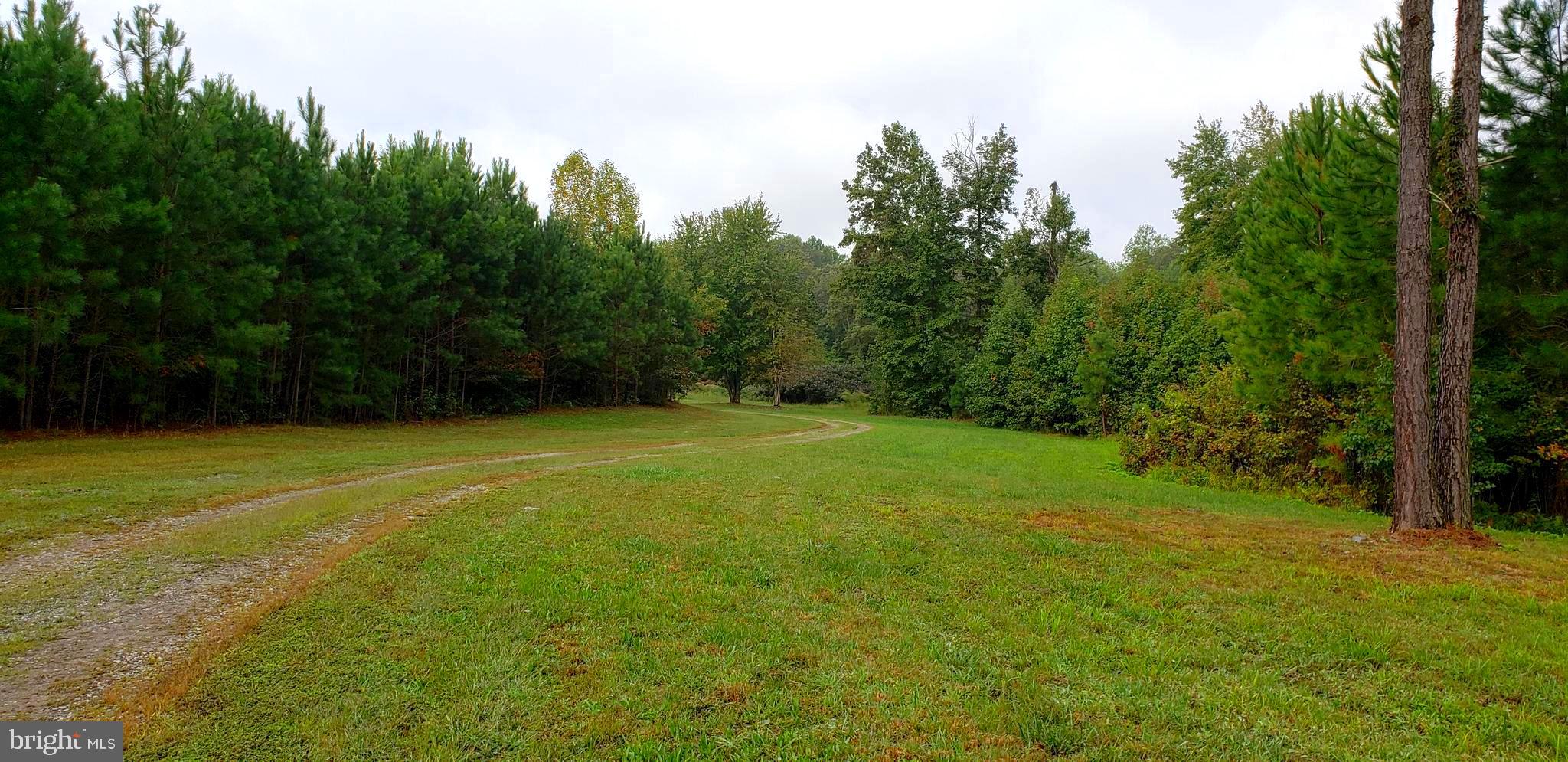 22147 Sparta Road Milford, VA 22514 - Photo 5 of 46 Driving on Property