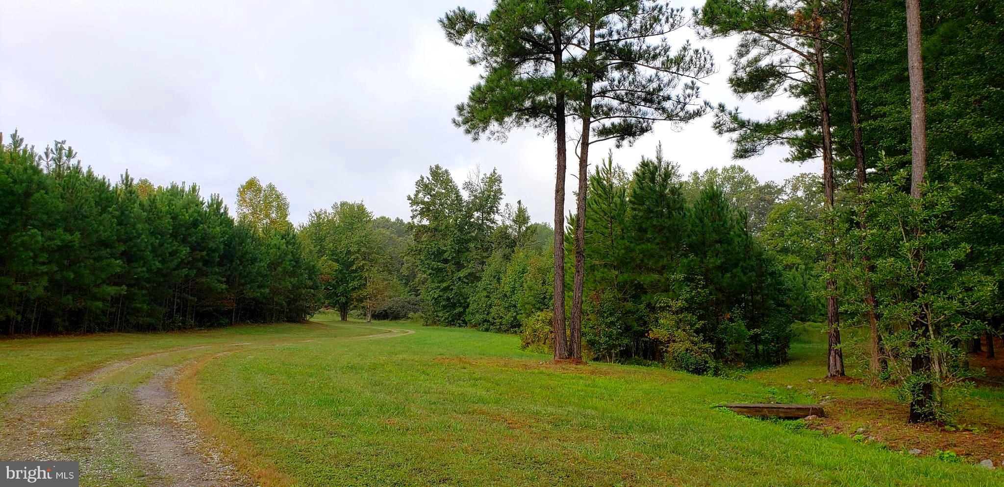 22147 Sparta Road Milford, VA 22514 - Photo 6 of 46 Driving on Property-Many accessible roads!