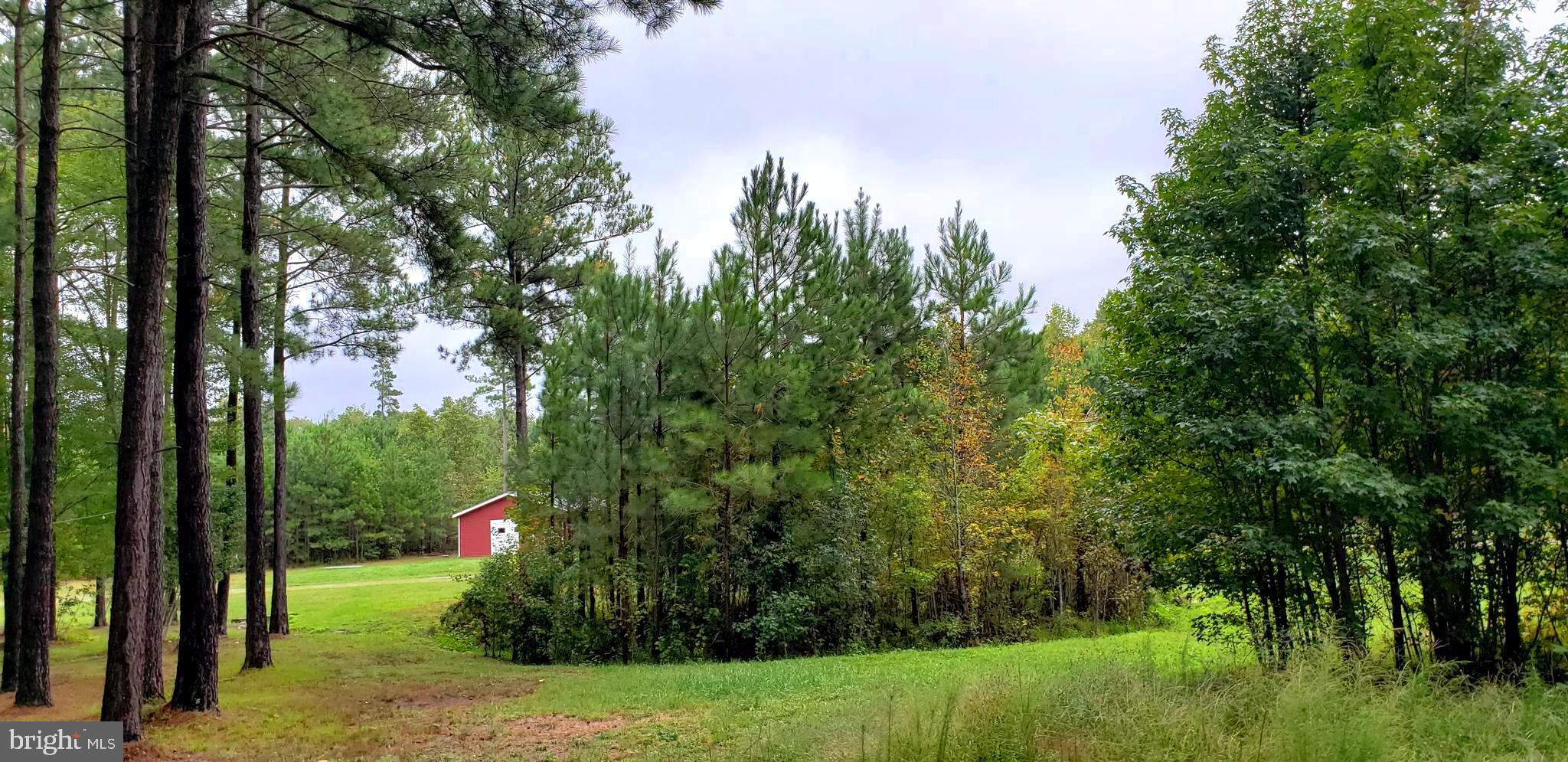 22147 Sparta Road Milford, VA 22514 - Photo 9 of 46 Center Grove is the site of an existing Spring