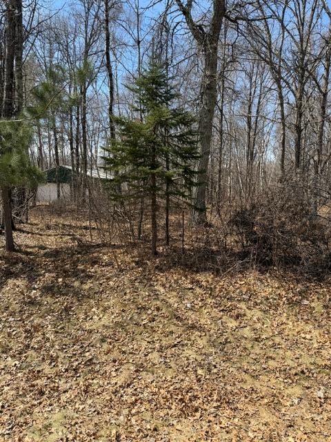 0 Sugarloaf Road Crosslake, MN 56442 - Photo 2 of 4