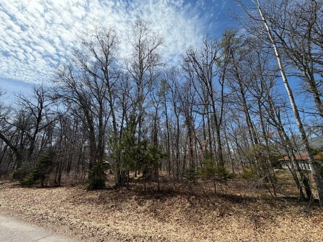 0 Sugarloaf Road Crosslake, MN 56442 - Photo 3 of 4