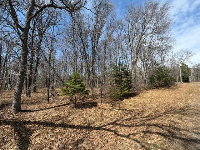 0 Sugarloaf Road Crosslake, MN 56442 - Photo 4 of 4