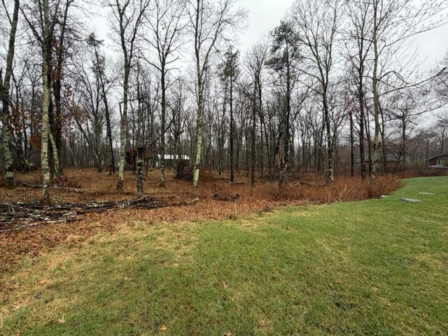 0 Sugarloaf Road Crosslake, MN 56442 - Photo 5 of 6