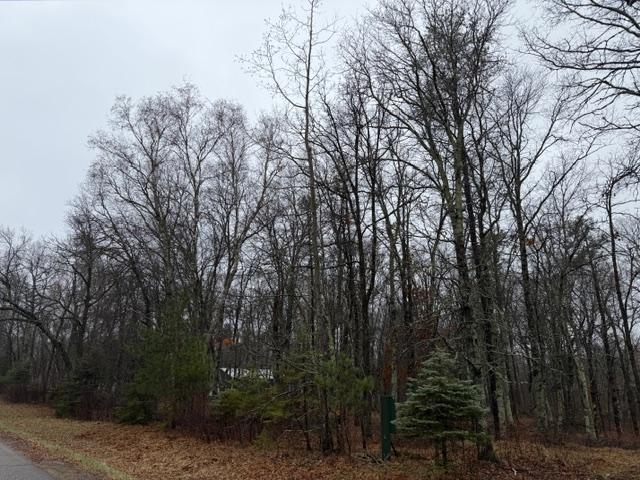 0 Sugarloaf Road Crosslake, MN 56442 - Photo 6 of 6