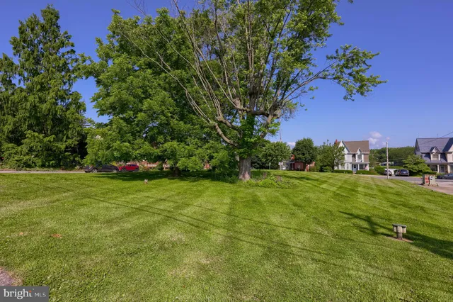 a green field with lots of trees in it