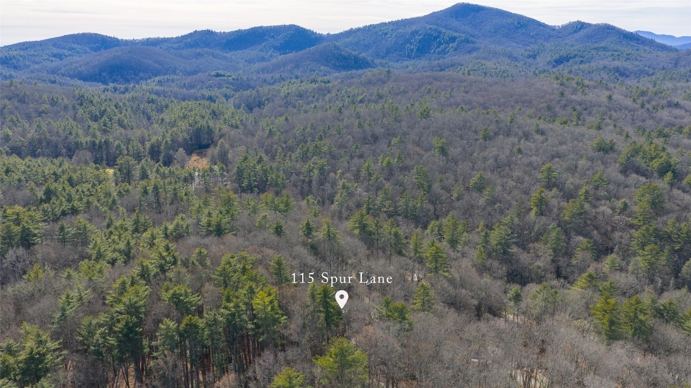 115 Spur Road Cashiers, NC 28717 - Photo 6 of 60 Aerial View