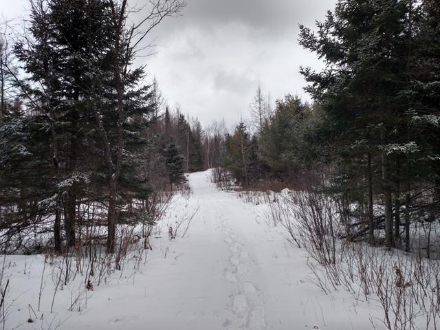 On On Cth C Prentice, WI 54556 - Photo 3 of 20 Gallery Image 3