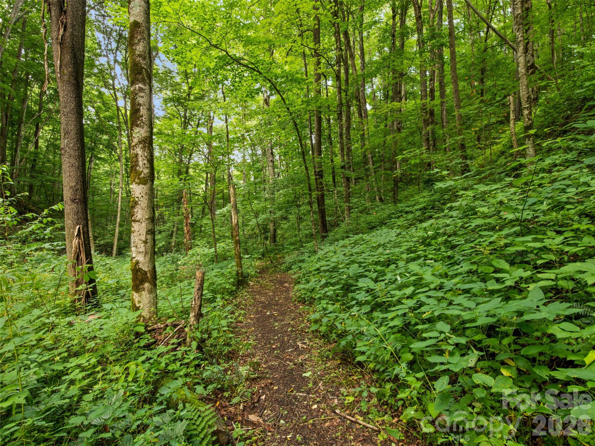 283 The High Road Waynesville, NC 28786 - Photo 40 of 48 Gallery Image 40