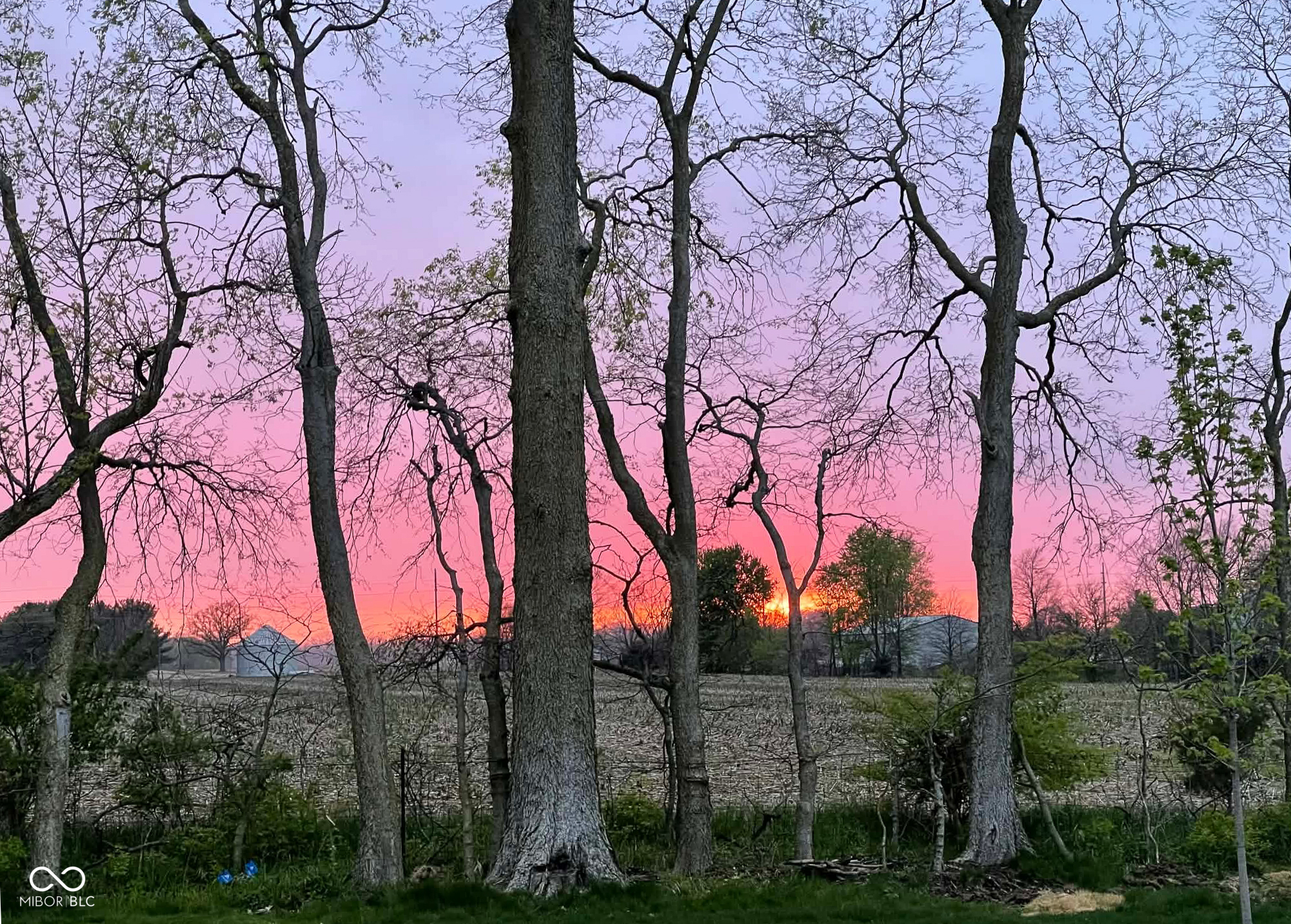 7062 Covington Street Whitestown, IN 46075 - Photo 26 of 29