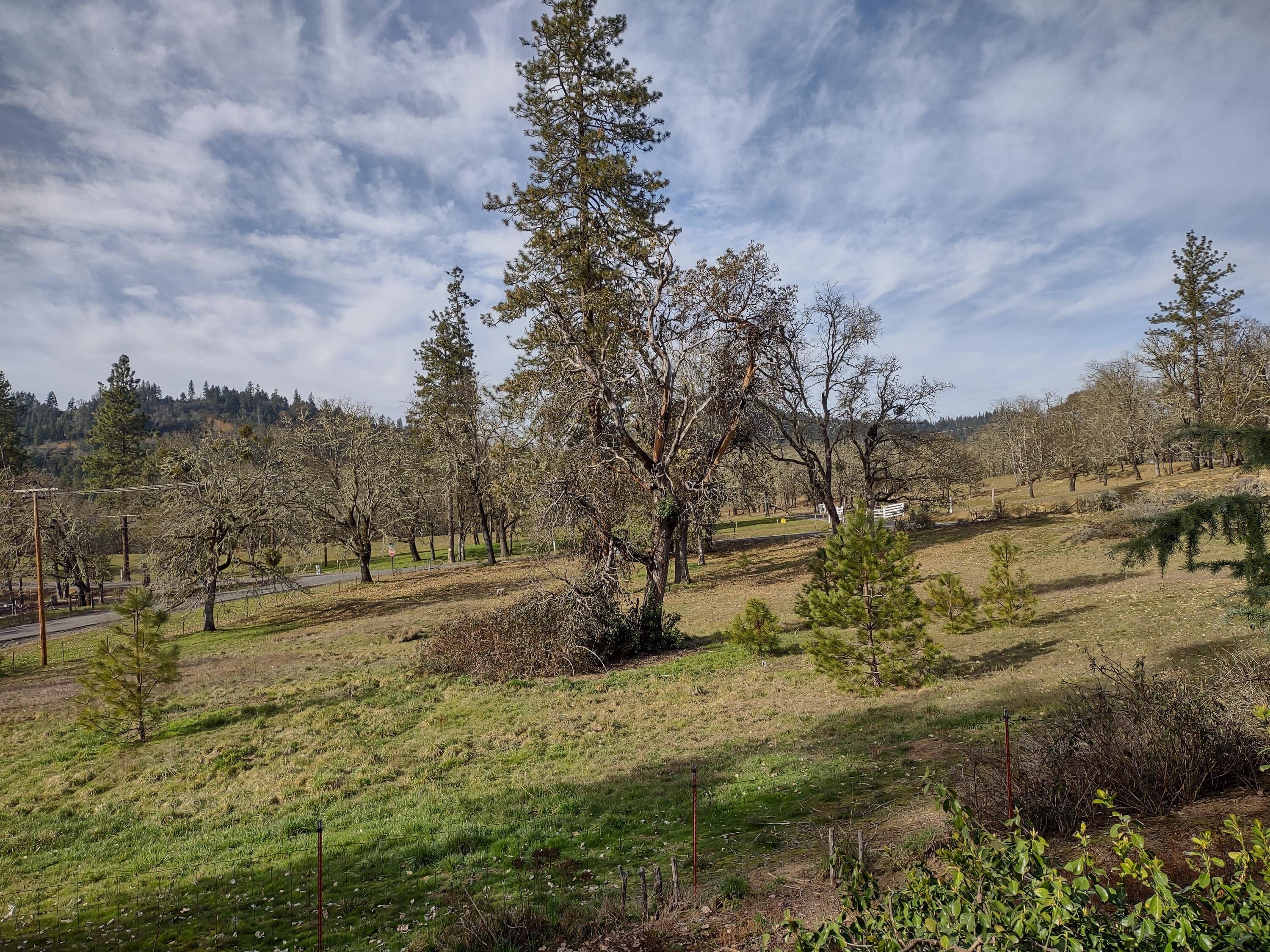 241 Gunnell Road Grants Pass, OR 97526 - Photo 6 of 23
