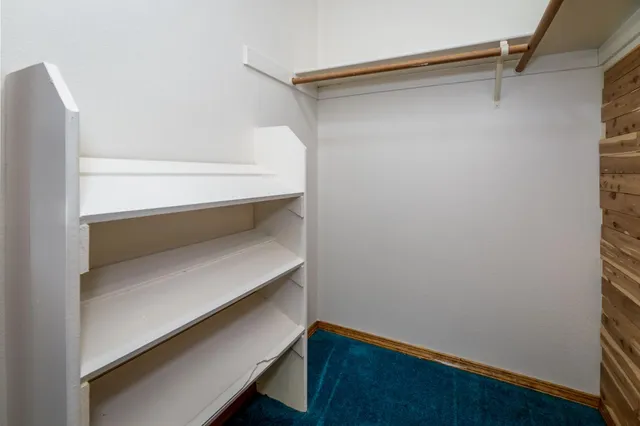 a view of a forest with a street and trees