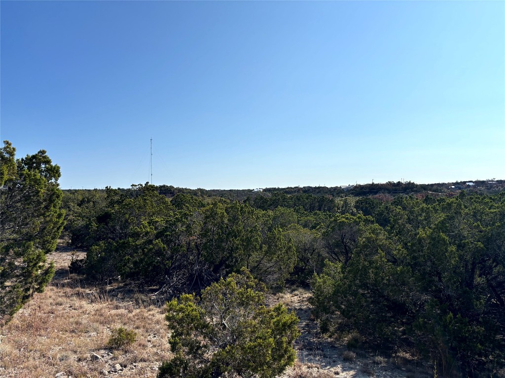 21924 Nameless Road Leander, TX 78641 - Photo 2 of 7 a view of a bunch of trees in a field