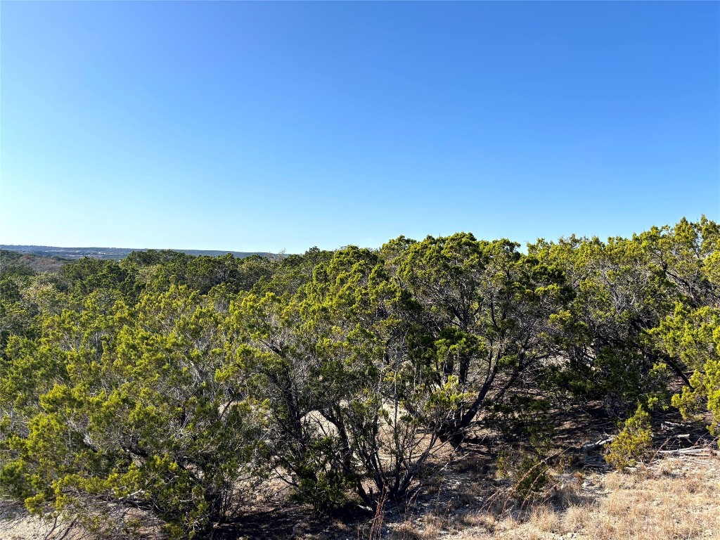 21924 Nameless Road Leander, TX 78641 - Photo 3 of 7 a view of a city with lush green forest