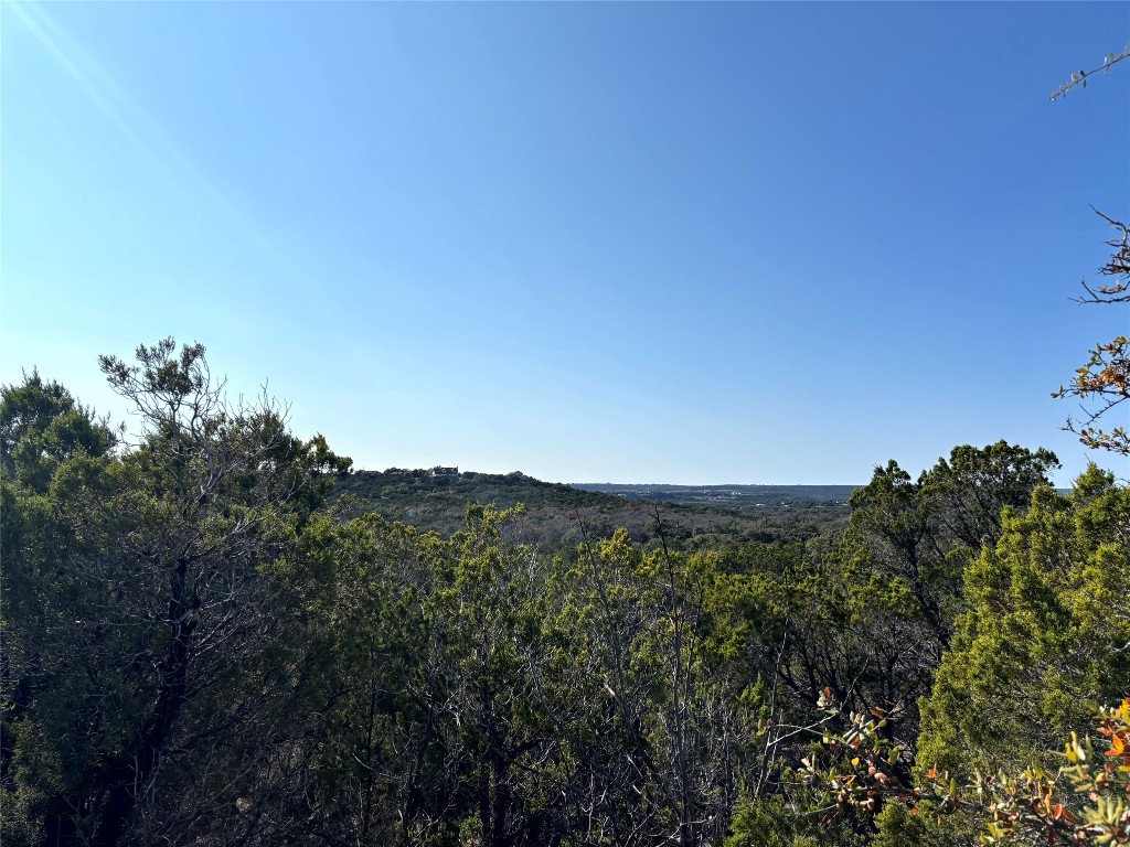 21924 Nameless Road Leander, TX 78641 - Photo 4 of 7 a view of a city with lush green forest
