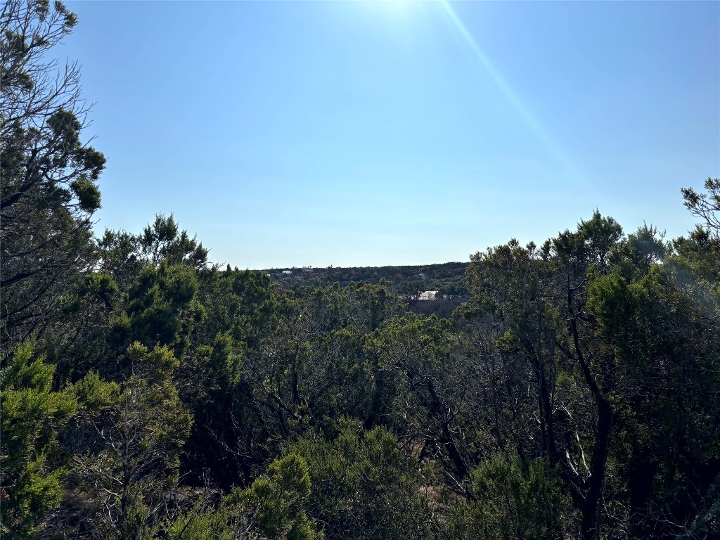 21924 Nameless Road Leander, TX 78641 - Photo 5 of 7 a view of a city