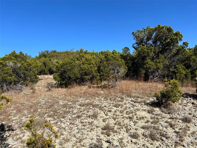 a view of a dry yard with trees in the background