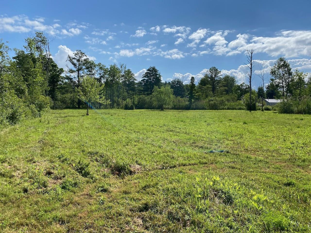 184 Bushnell Road Mayfield, NY 12117 - Photo 6 of 8 Photo 6