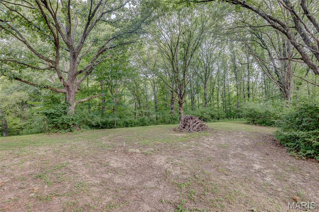 13445 Michael Road Highland, IL 62249 - Photo 10 of 13