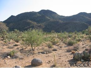 16575 South La Cienega Ranch Road Yucca, AZ 86438 - Photo 4 of 10 Additional Photo