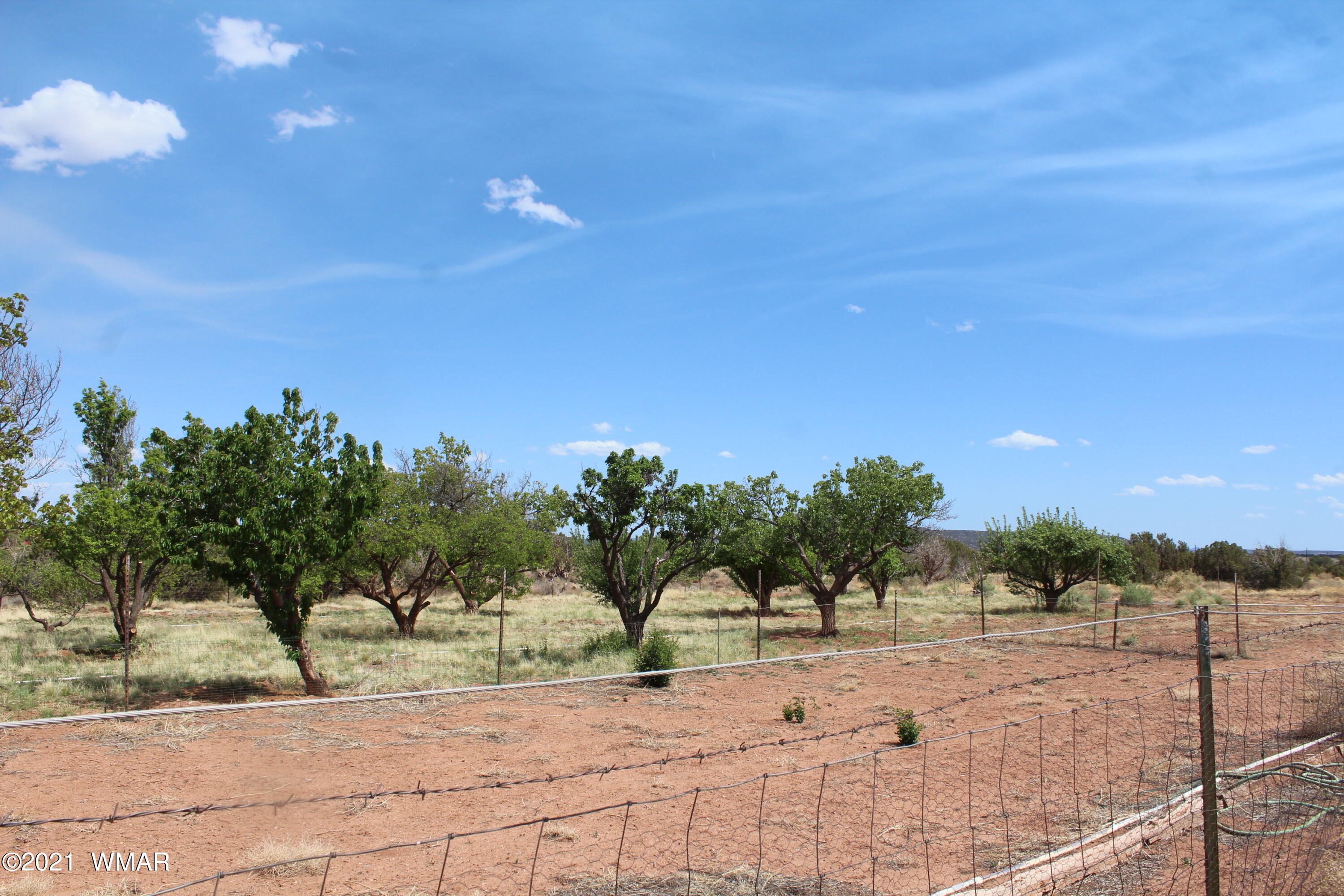 5061 Schneider Road Snowflake, AZ 85937 - Photo 38 of 58