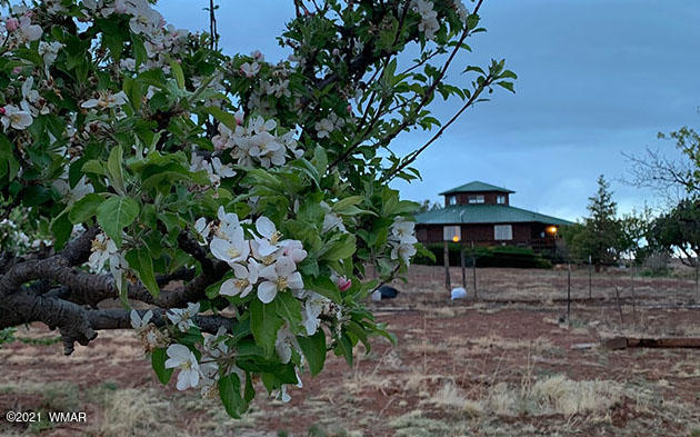5061 Schneider Road Snowflake, AZ 85937 - Photo 39 of 58