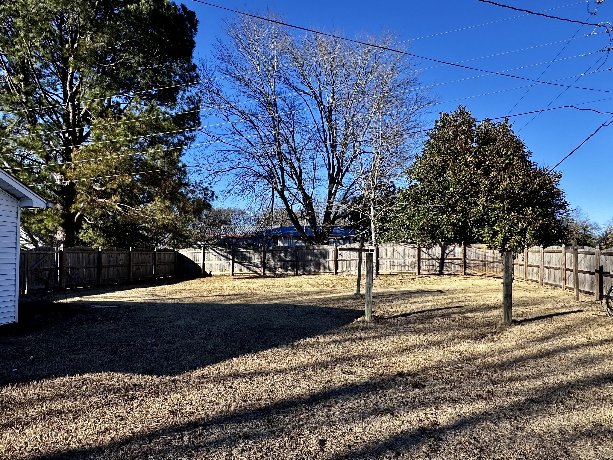211 Church Street Loretto, TN 38469 - Photo 36 of 37 a view of a yard with plants