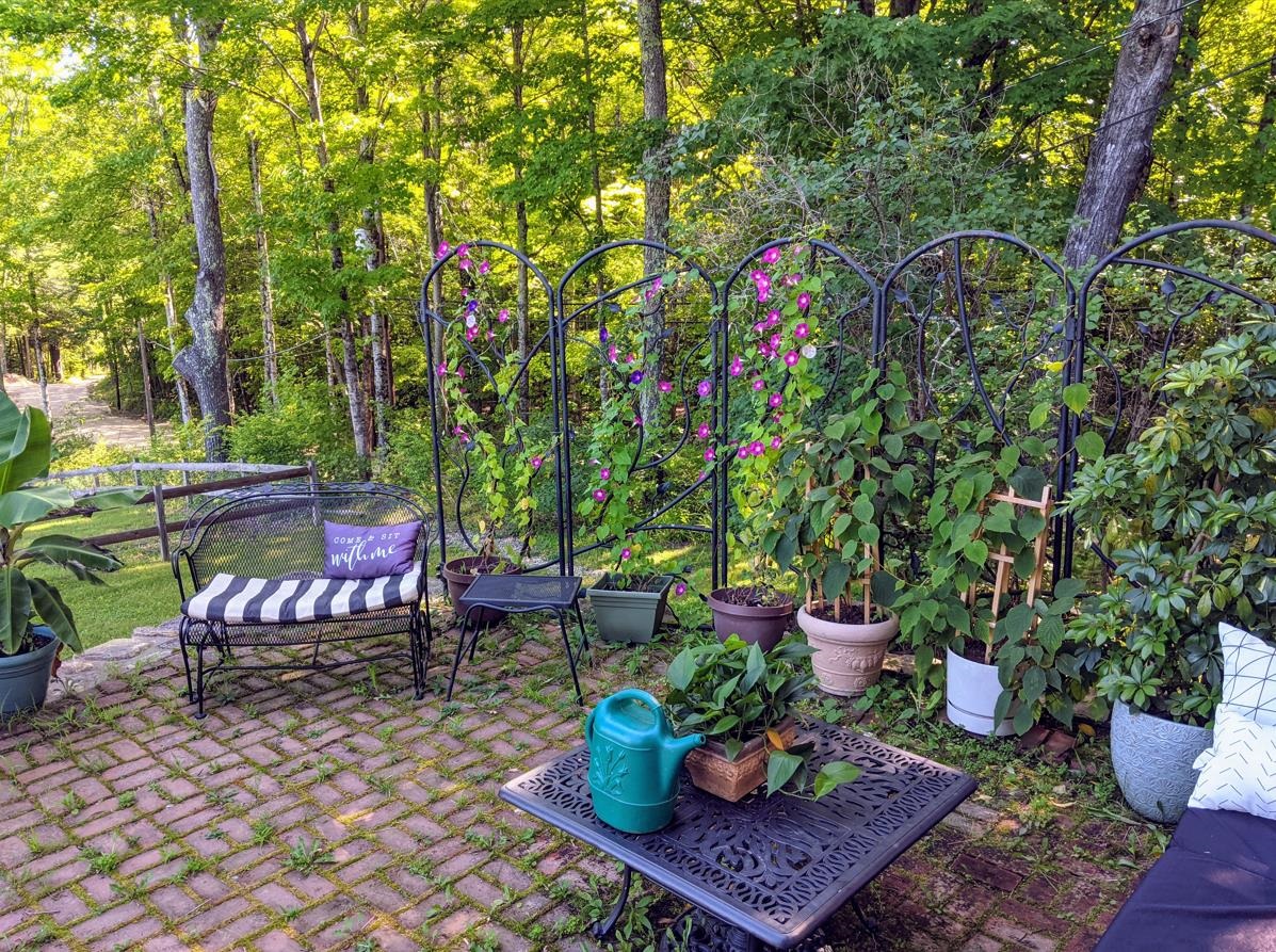 67 Candia Road Deerfield, NH 03037 - Photo 55 of 60