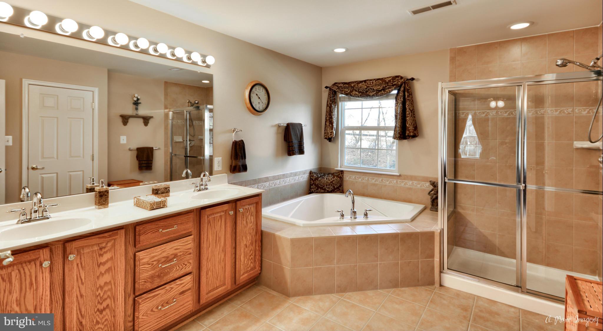 1719 Canal Clipper Court Point of Rocks, MD 21777 - Photo 18 of 30 a bathroom with a double vanity sink mirror and bathtub