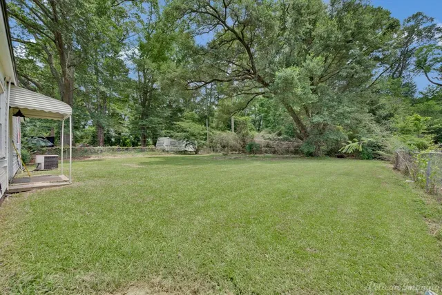 a view of a field with trees in front of it