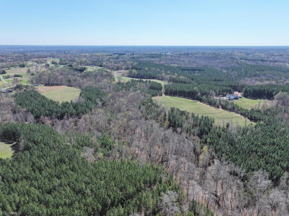 508 New Lebanon Church Road Reidsville, NC 27320 - Photo 12 of 35