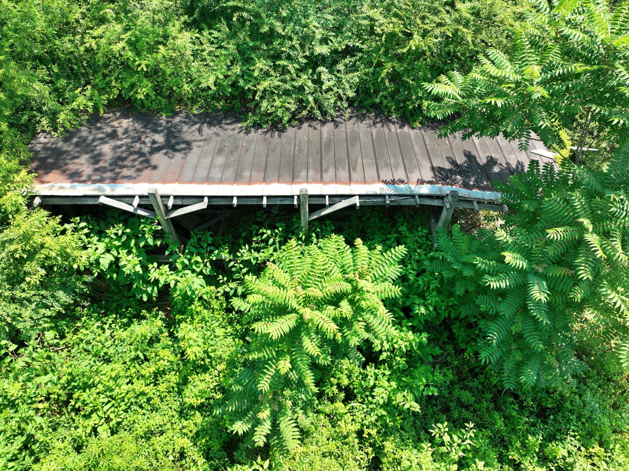 5858 Wolf Creek Road Spring City, TN 37381 - Photo 72 of 76