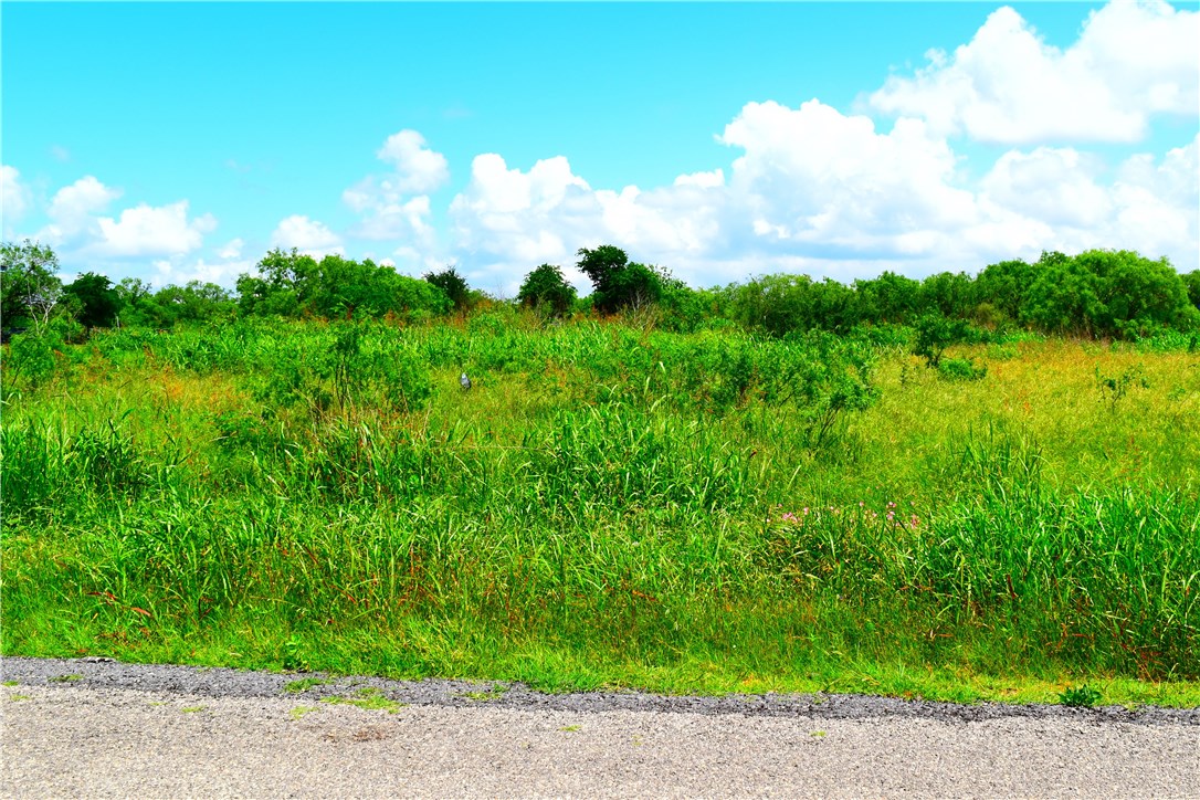N/a O'Daniel Road Seguin, TX 78155 - Photo 1 of 1 Gallery Image 1