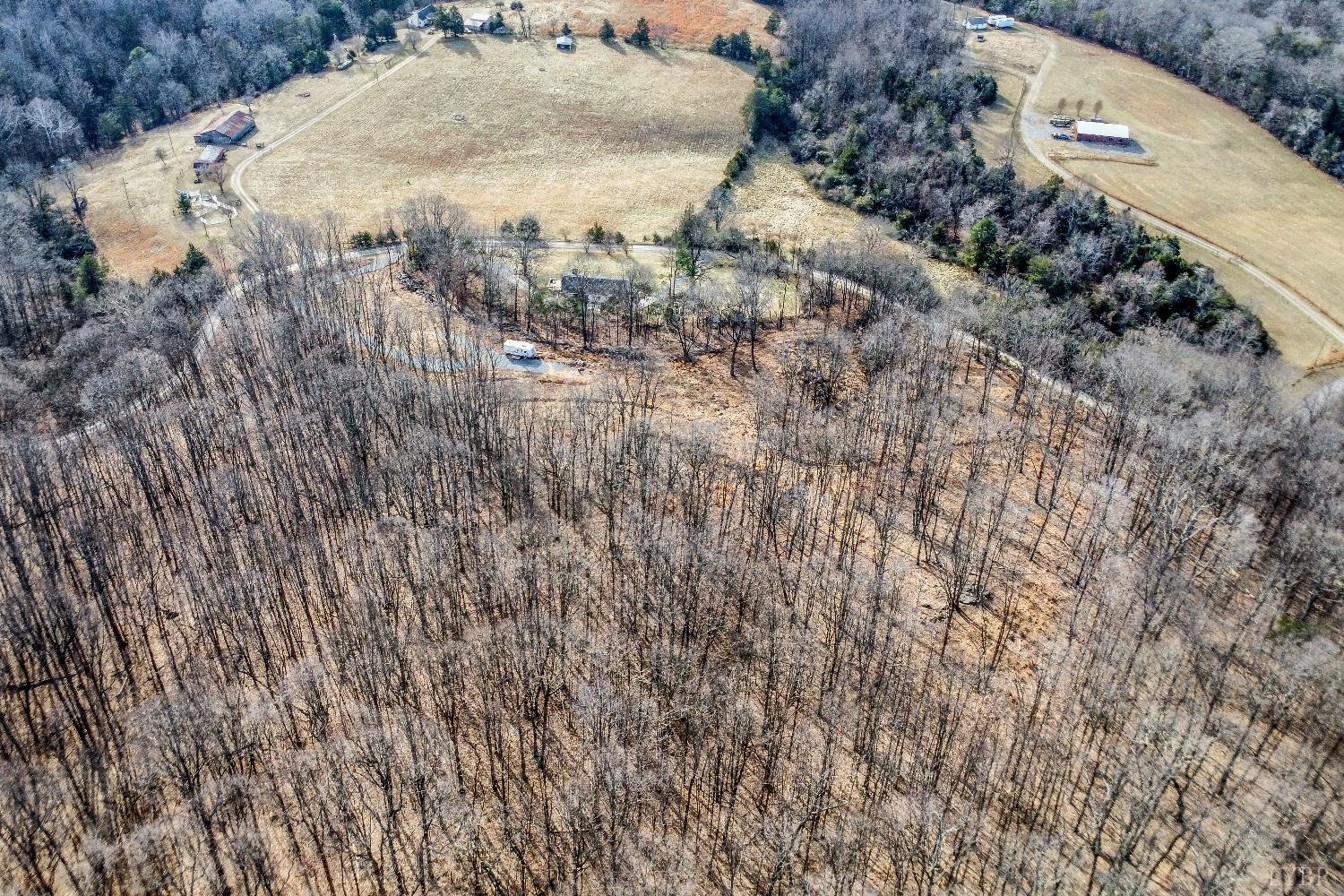 -lot 5 Pilot Mountain Road Moneta, VA 24121 - Photo 11 of 15 a view of a dry yard with trees