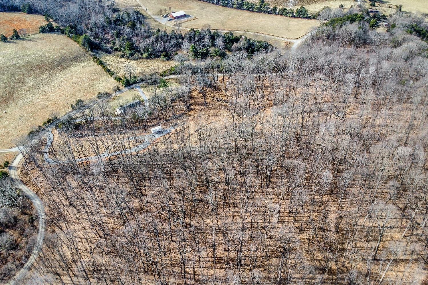 -lot 5 Pilot Mountain Road Moneta, VA 24121 - Photo 12 of 15 a view of a yard