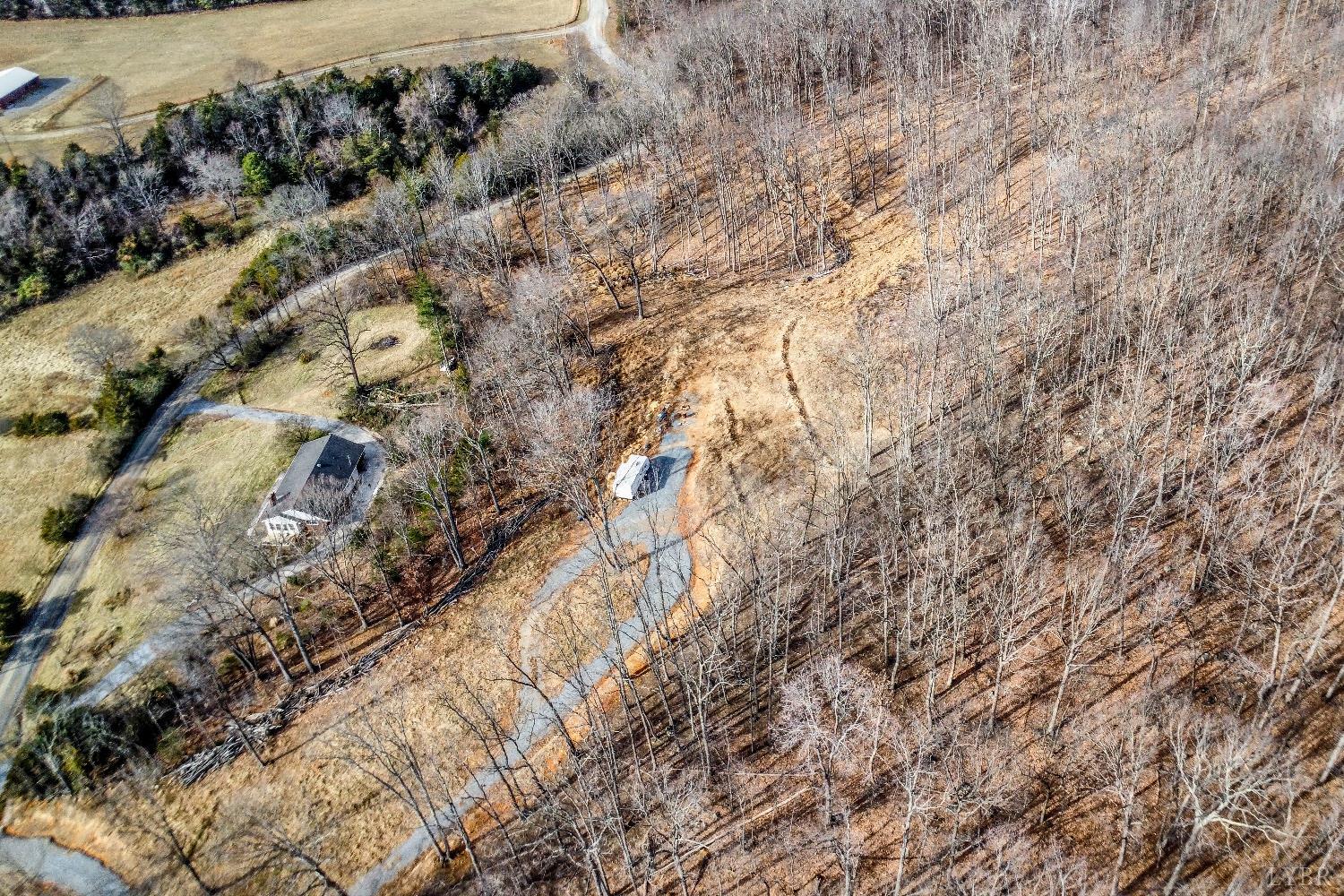 -lot 5 Pilot Mountain Road Moneta, VA 24121 - Photo 13 of 15 a view of a forest with a tree
