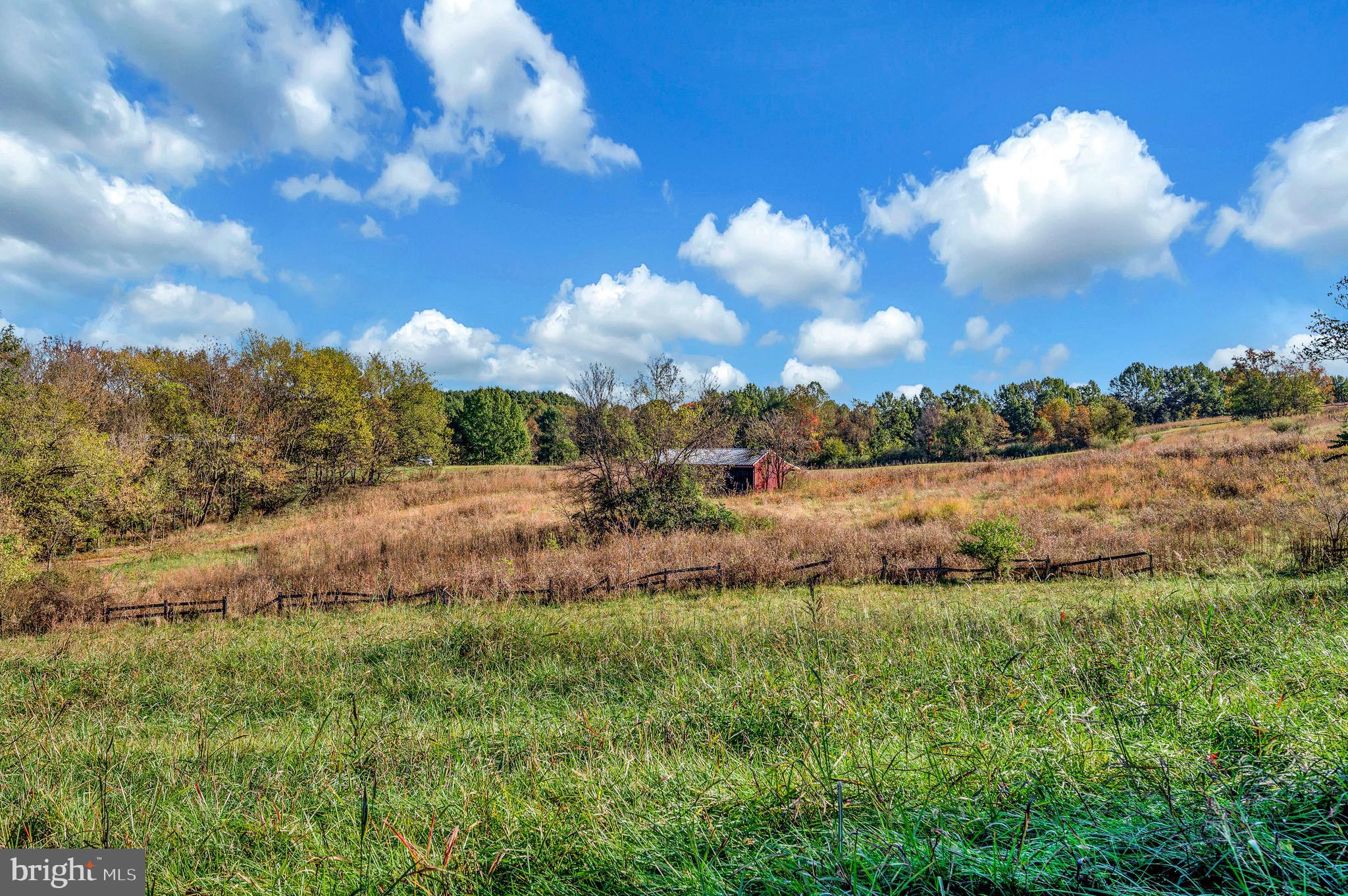 24154 Raccoon Ford Road Culpeper, VA 22701 - Photo 44 of 48 Gallery Image 44