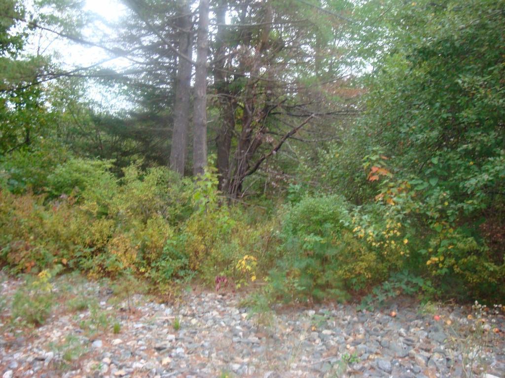 9 Beaver Pond Road Topsham, ME 04086 - Photo 5 of 5 Photo