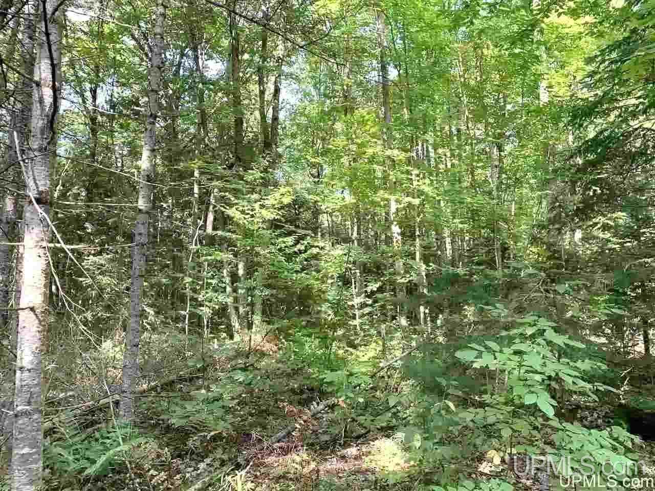 171 Blue Road Mass City, MI 49948 - Photo 4 of 13