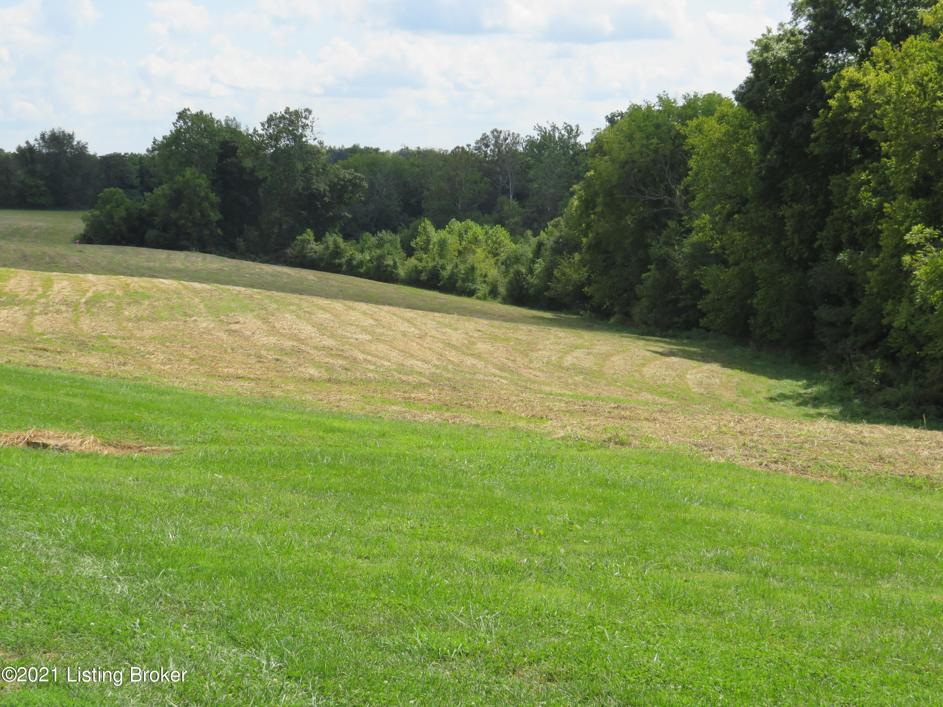 12588 Mt Eden Road Mount Eden, KY 40046 - Photo 10 of 56 Field behind barn