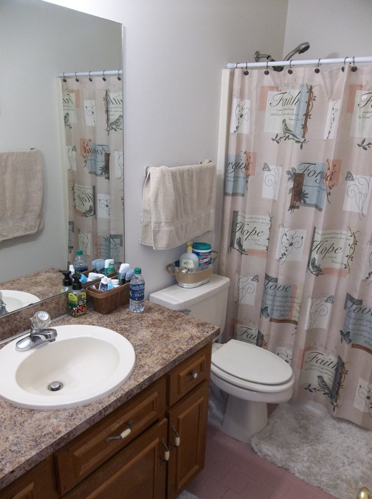 100 Willow Beach Road Ellerslie, GA 31807 - Photo 11 of 14 Bathroom