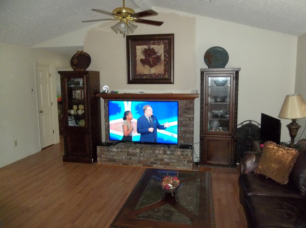 100 Willow Beach Road Ellerslie, GA 31807 - Photo 3 of 14 Great Room