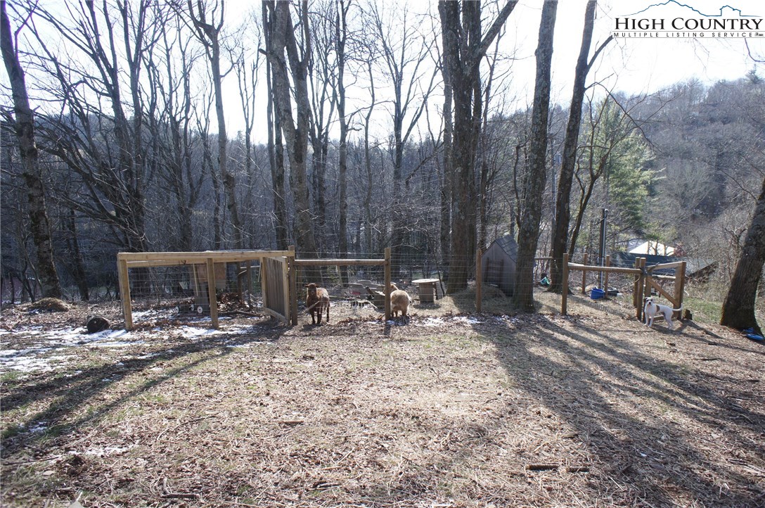 272 Locust Point Drive Boone, NC 28607 - Photo 12 of 36 Gallery Image 12