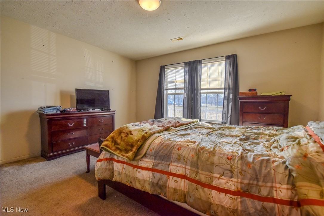 643 Wood Ridge Road Geneva, OH 44041 - Photo 11 of 24 Bedroom featuring carpet, visible vents, and a textured ceiling