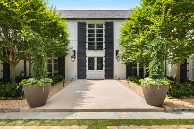 a view of a yard with plants and tree