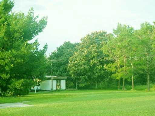 Yard/Garden
