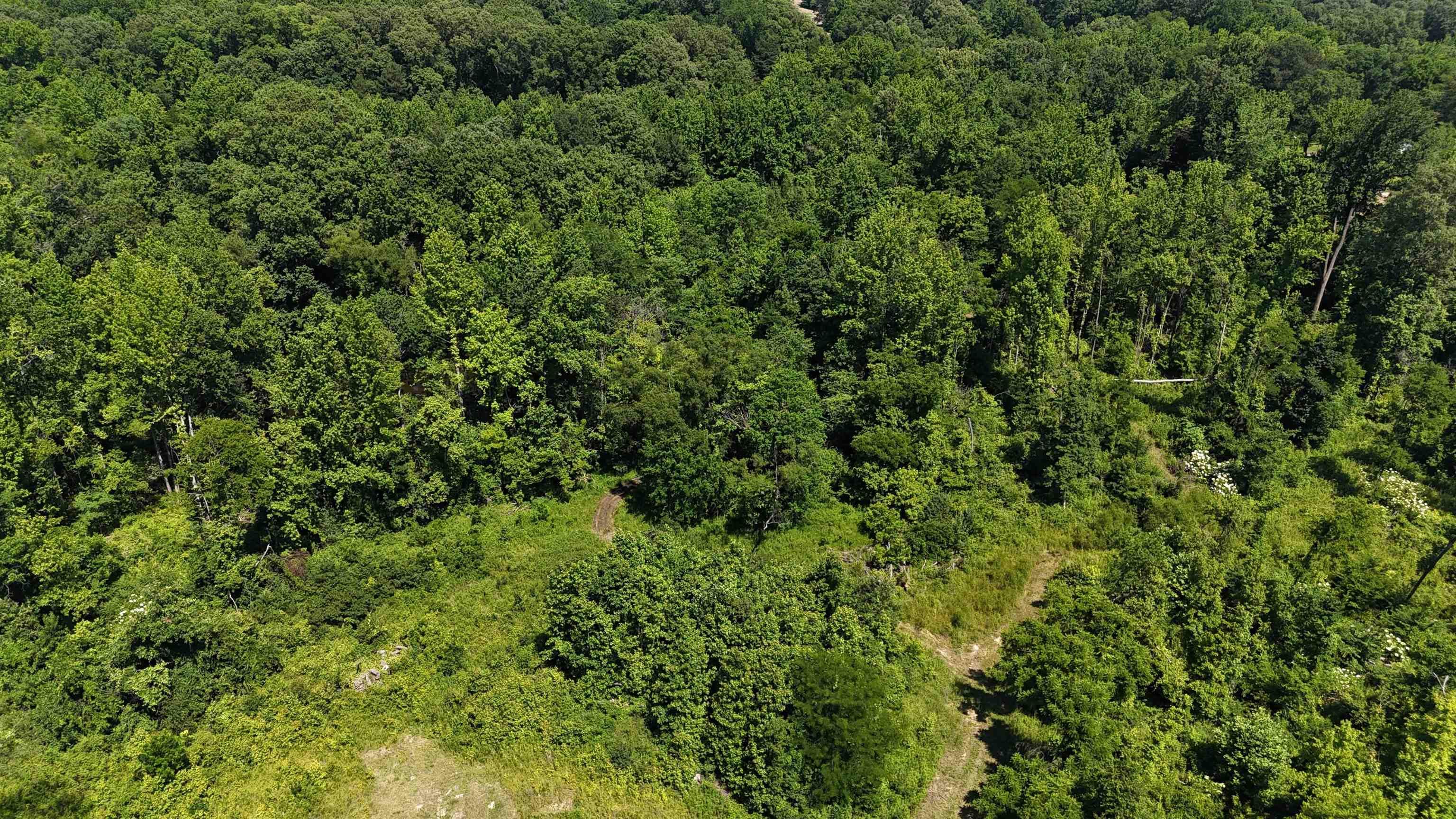 0 Walsh Road, Unit LOT 1 Millington, TN 38053 - Photo 6 of 8