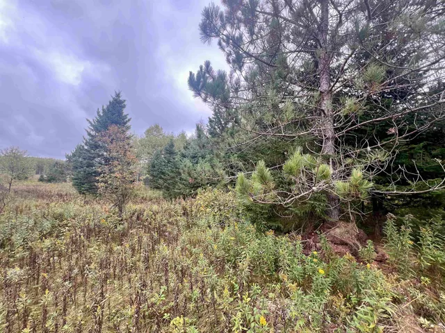 $27,500 | Dream Lake Road, Unit 3, Long Lake, WI 54542