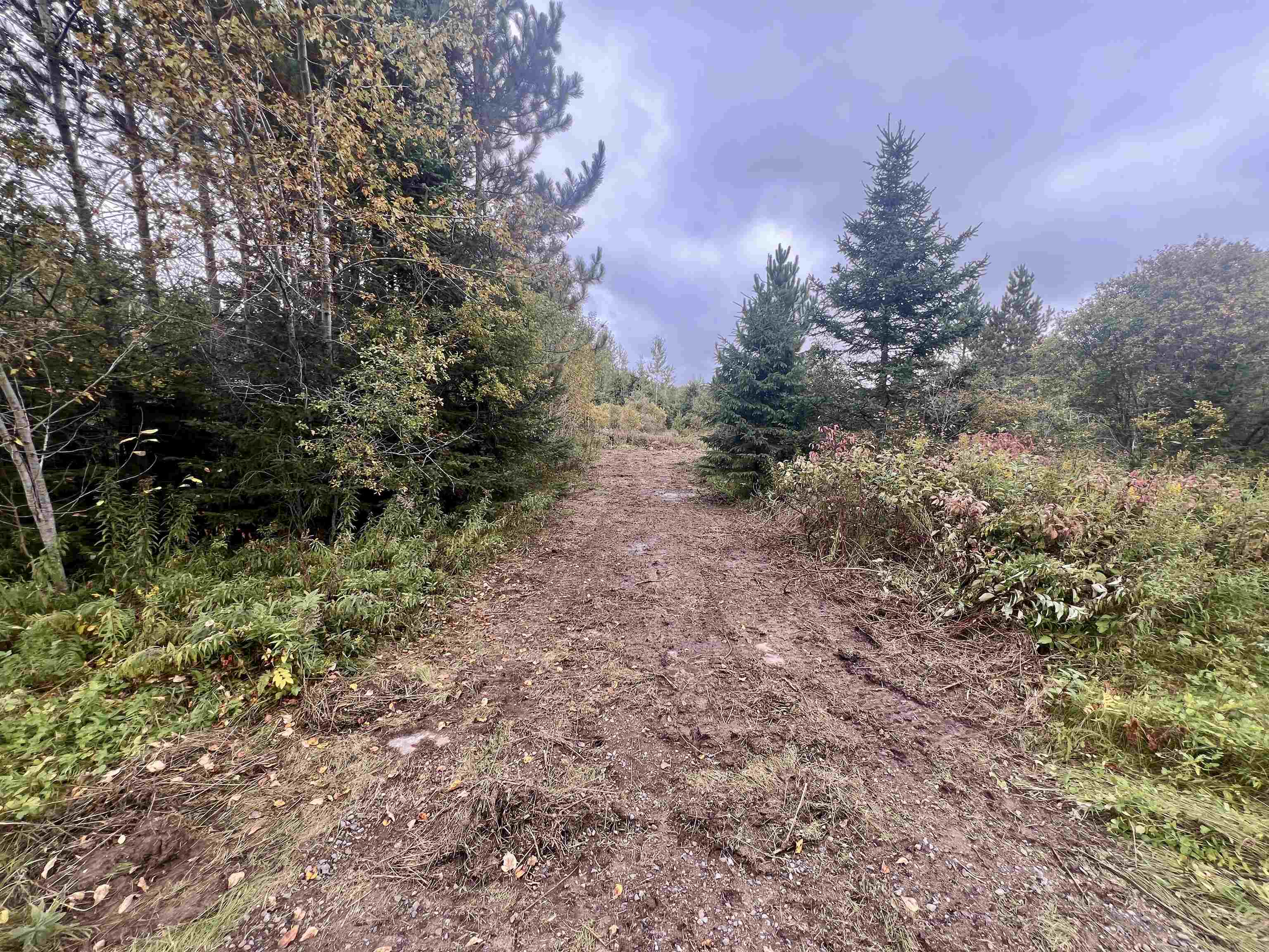 Dream Lake Road, Unit 3 Long Lake, WI 54542 - Photo 2 of 7